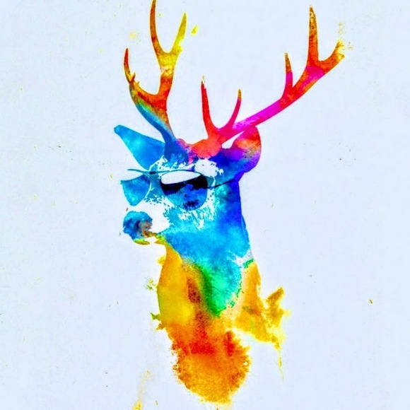 Meet your Posher, Evan - Picture 1 of 1